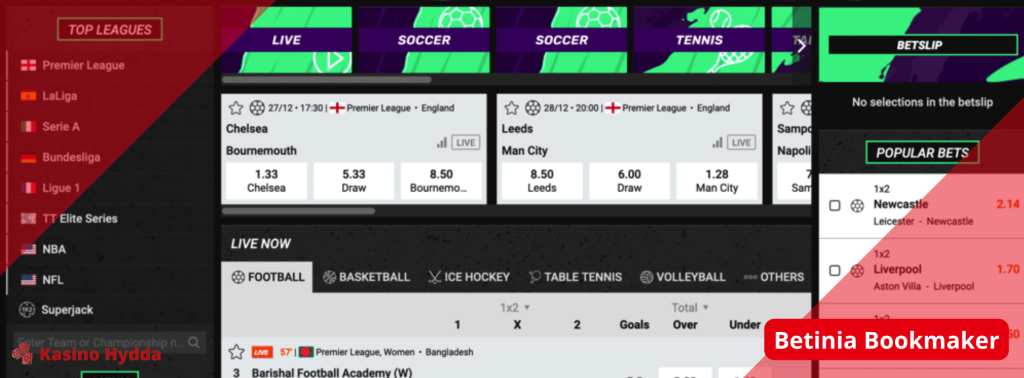 Betinia Bookmaker