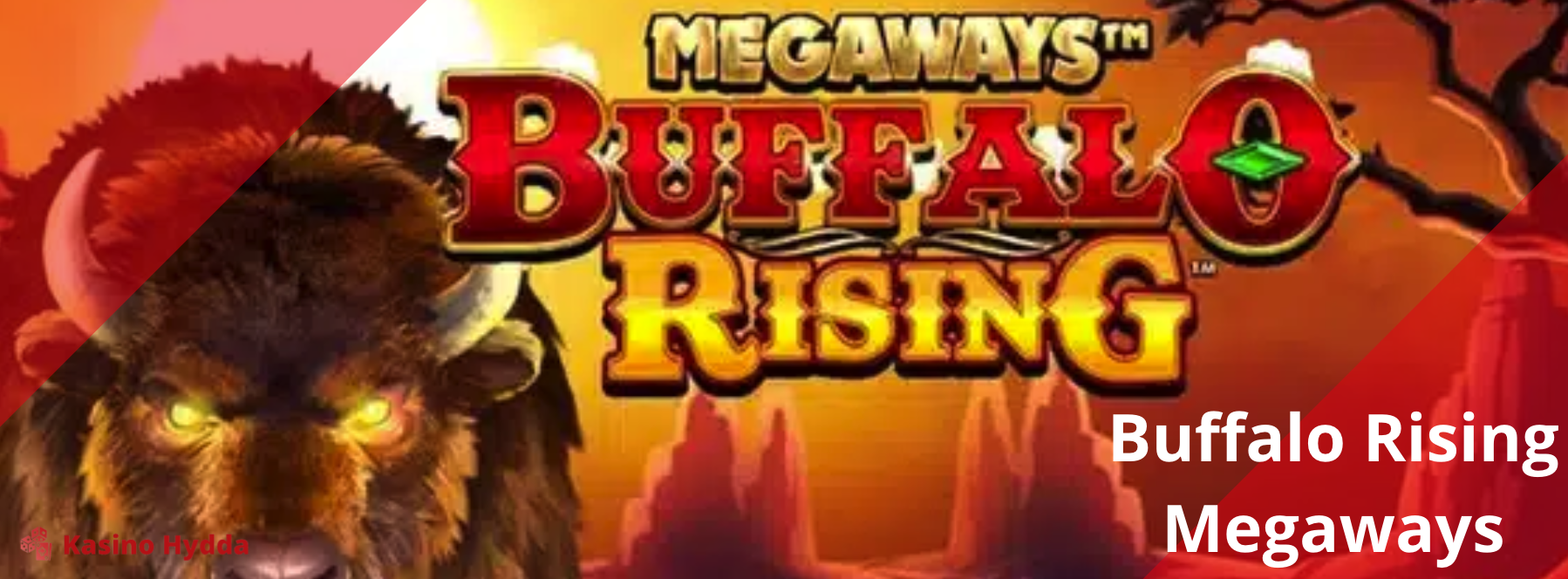 Buffalo Rising Megaways : användbar information för vinster
